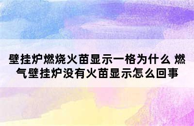 壁挂炉燃烧火苗显示一格为什么 燃气壁挂炉没有火苗显示怎么回事